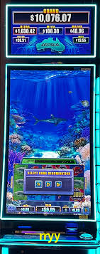 Live Casino rryy